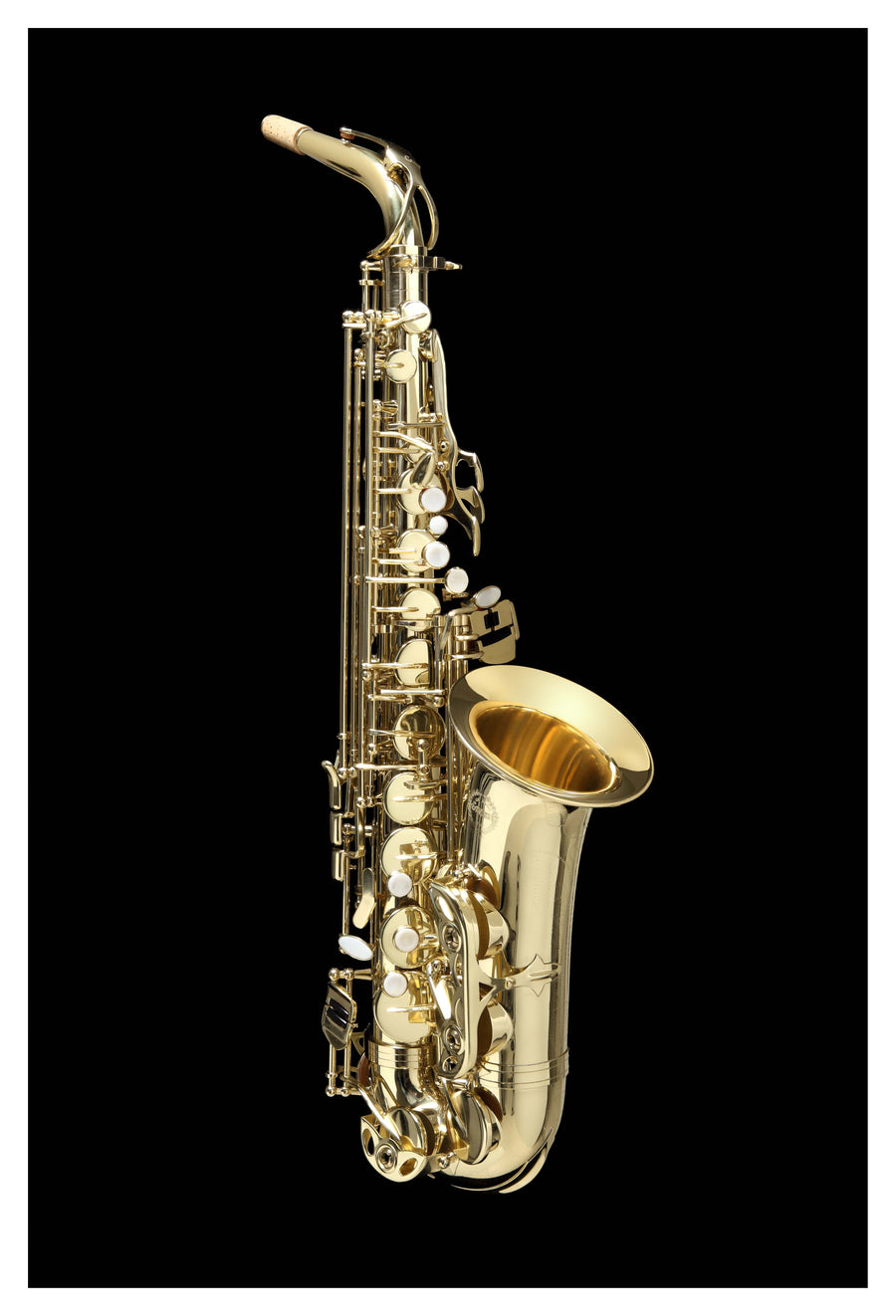 Grassi GR AS20SK Alto Saxophone in E♭ Student Kit Yellow Brass Lacquered (Master Series)