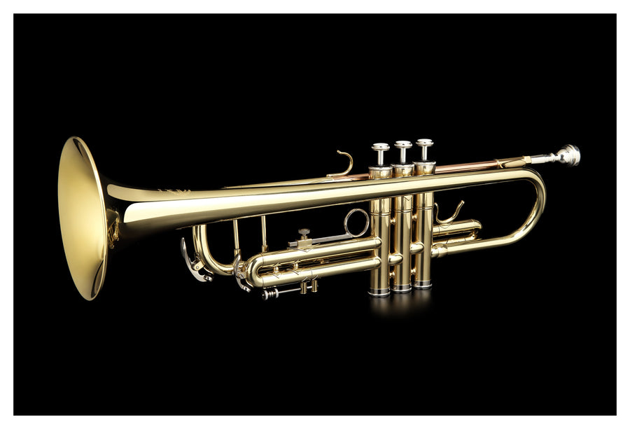 Grassi GR TR210 Trumpet in B♭ Yellow Brass Lacquered with Bronzed Lead Pipe (Master Series)